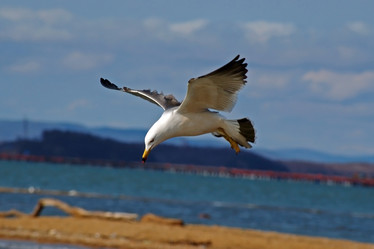 Similar image 827729