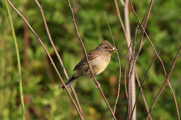 Similar image 827740