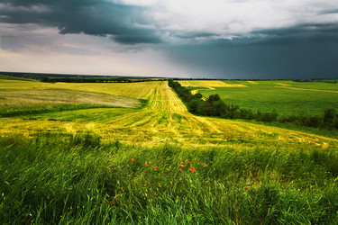 Similar image 827767