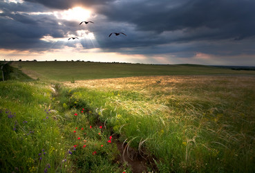 Similar image 827768