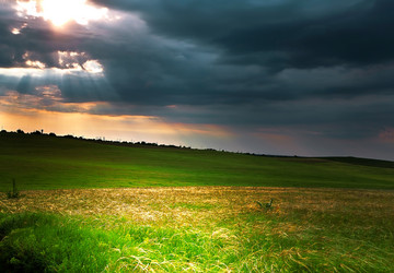 Similar image 827769