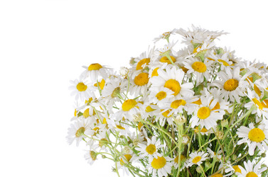 Similar image 827815