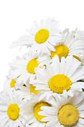 Similar image 827816