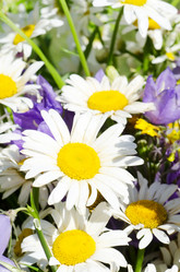 Similar image 827817