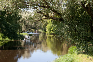 Similar image 827835