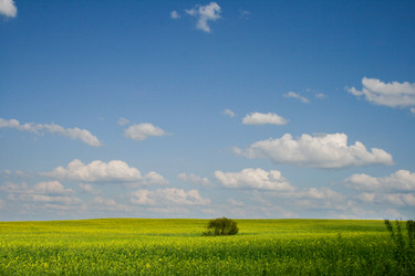 Similar image 827845