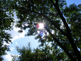 Similar image 827882