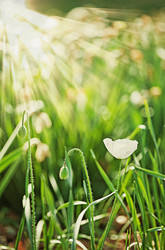 Similar image 827949