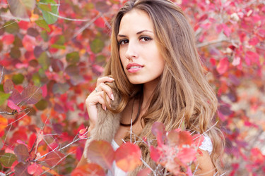 Similar image 827986