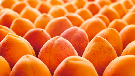 Similar image 828095