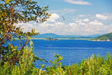 Similar image 828174