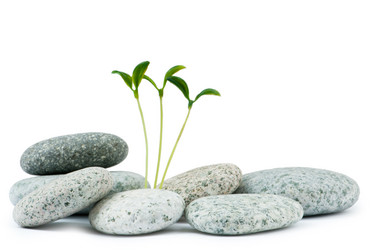 Similar image 828349