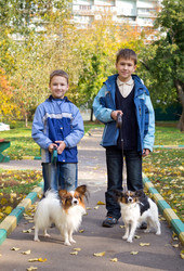 Similar image 828396