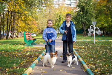 Similar image 828397