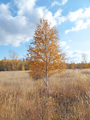 Similar image 828410