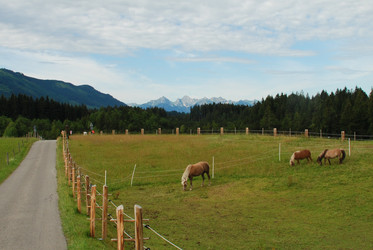 Similar image 828415