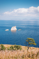 Similar image 828431