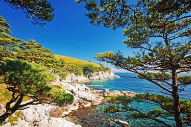 Similar image 828432