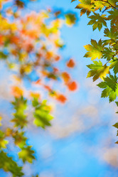 Similar image 828437