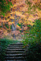 Similar image 828509