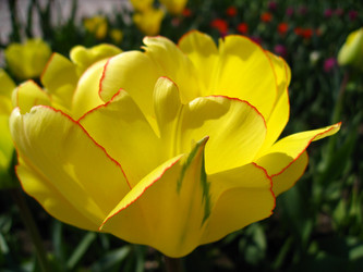 Similar image 828534