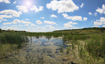 Similar image 828535