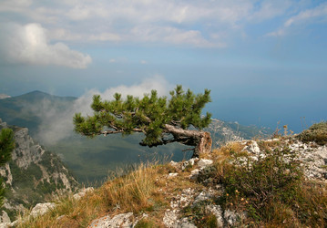 Similar image 828550