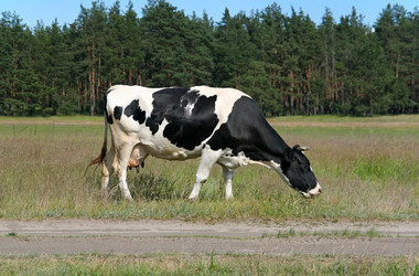 Similar image 828553