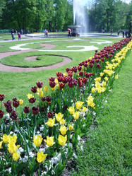 Similar image 828570