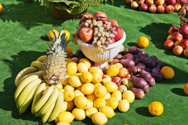 Similar image 828615