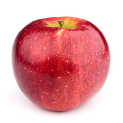 Similar image 828621