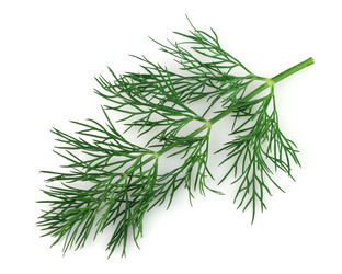 Similar image 828623