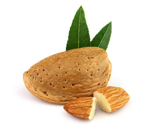 Similar image 828632