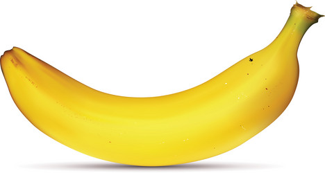 Similar image 828633