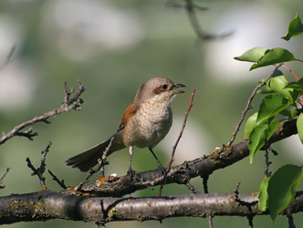 Similar image 828658