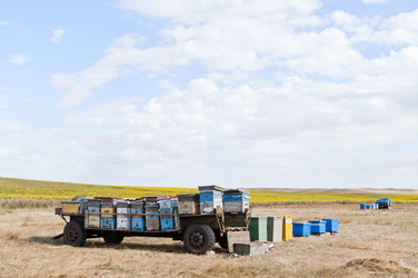 Similar image 828672