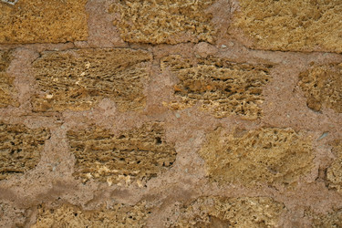 Similar image 828694