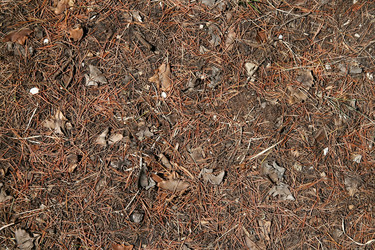 Similar image 828722