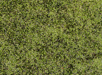 Similar image 828725