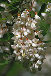 Similar image 828730