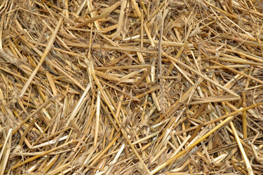 Similar image 828737