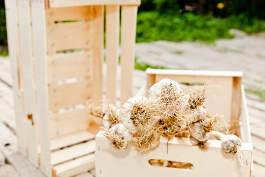 Similar image 828783