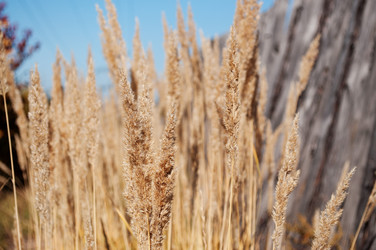 Similar image 828791