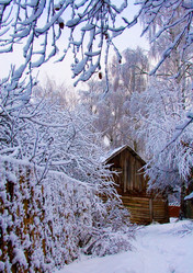 Similar image 828874