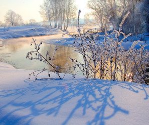 Similar image 828875