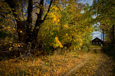 Similar image 828890