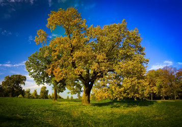 Similar image 828893