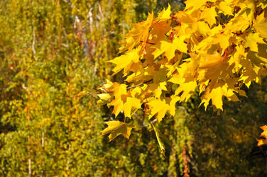 Similar image 828901