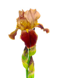 Similar image 828904