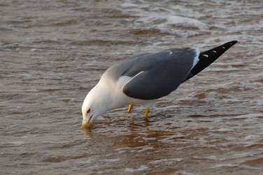 Similar image 828926